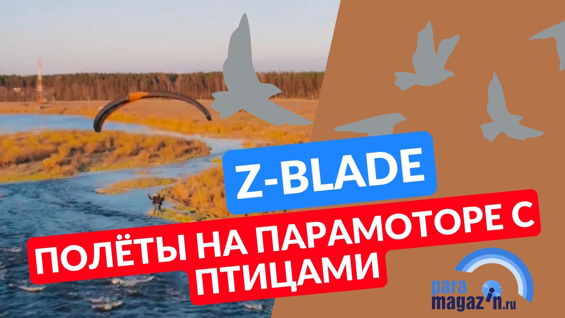 Моторный параплан Z-Blade. Полёт на парамоторе с птицами.