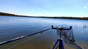 Рыбалка под звуки природы  Бердянское водохранилище  Фидер  Подлещик 15 05 2022