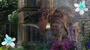 Таисия Калинченко - В нашем старом саду