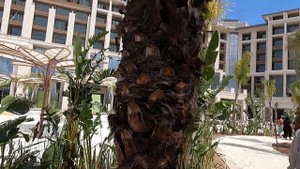 Отель CULLINAN GOLF RESORT BELEK 5* мехмонхонаси