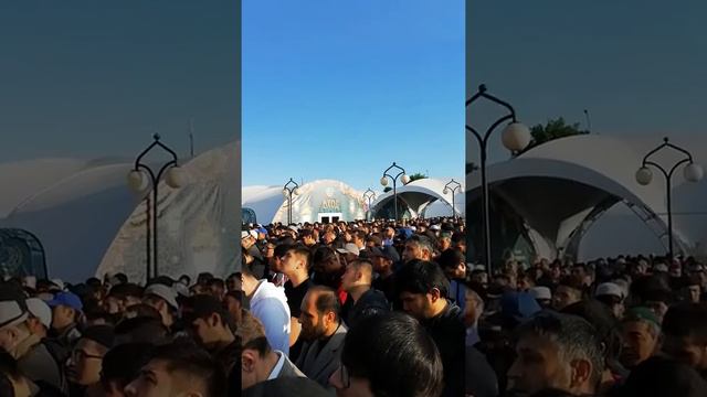 4 июня 2019 г. смотреть онлайн