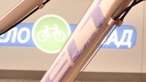 Велосипед Welt Edelweiss 1.0 26 (2022)