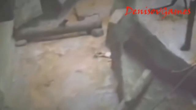 НАСТОЯЩИЙ УЖАС. Обезьяны нападают на людей ( 5 видео ) +16 смотреть онлайн