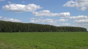 Ян Френкель  Русское поле