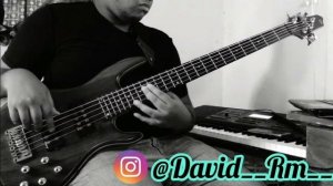 Toby Love - Lejos | Bass Cover | David Rm