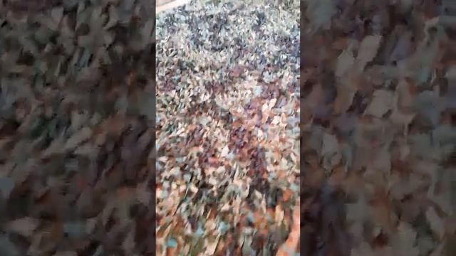 МАСКИРОВОЧНАЯ СЕТЬ ДЛЯ ГОСПИТАЛЯ смотреть онлайн