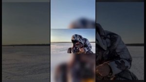 Белоярка раздаёт?. Ловим леща и окуня?. (Зимняя рыбалка на Белоярском водохранилище)