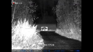 Pulsar Digex N455 запись в темноте в по макету кабана на просеке с дистанциями 100-150-200 метров