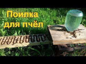 Поилка для пчёл