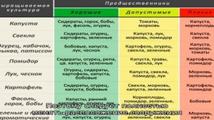 Как организовать севооборот в теплице