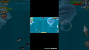 Прохождение и секреты игры Hungry Shark: Evolution на телефоне