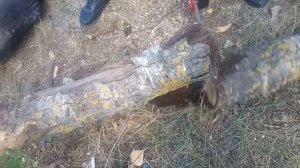 Аккумуляторная пила (Бесщеточный двигатель)