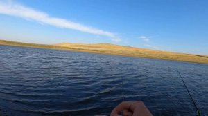 Карась на Жарёху Первый пруд с крупной рыбой С Удочкой по Саратовской области