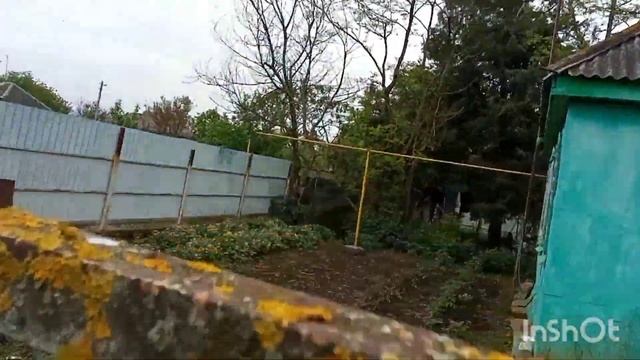 В гостях на хуторе/Отмечаем 9 мая/Задумчивые барашки и веселые собачки/ смотреть онлайн