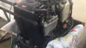 Yamaha 225 VMAX225, л189