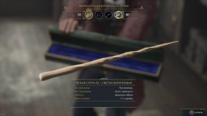 Hogwarts Legacy. Выбор палочки Эйдана.