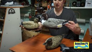 Чучела уток Шилохвость _Softplast