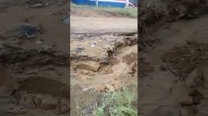 п. Октябрьский, Богучанский район, ул.Центральная