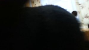 Девушка бьёт парня.