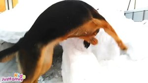 ОВЧАРКА ОТ 1 МЕСЯЦА ДО ГОДА!    German shepherd PUPPY     метис Немецкой овчарки