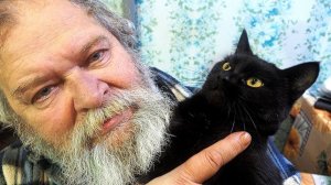 СУП С КОТОМ По - РУССКИ !