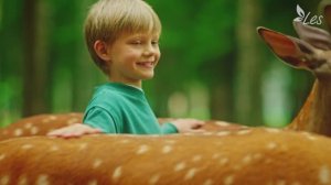 Бэмбитерапия в LES Art Resort ****