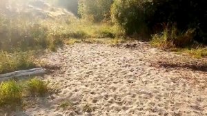 Новый шпринтовый парус. Учусь ставить и убирать парус - теперь дольше. Ремонт глушилки. 2020.09.05