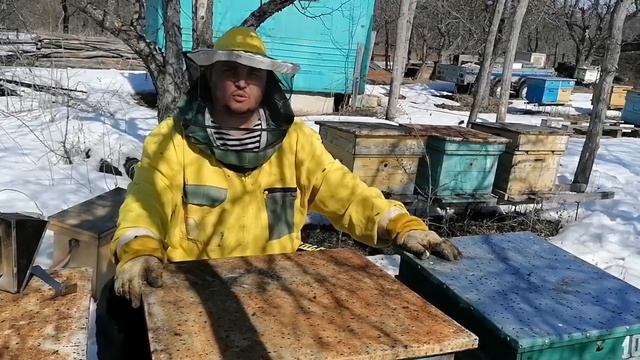 Ревизия кормов на пасеке смотреть онлайн