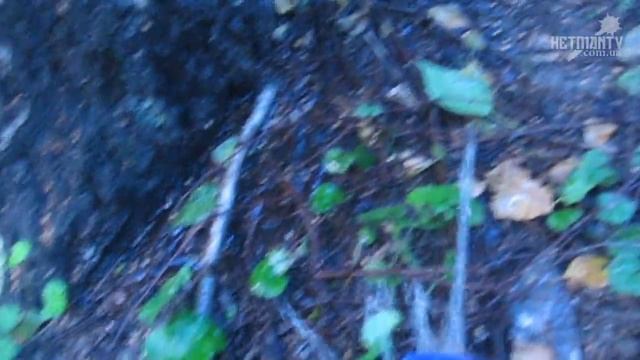 ? Белые Грибы растут в городе! ? смотреть онлайн