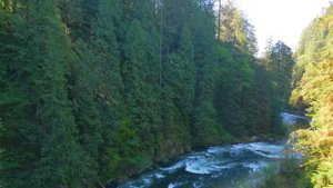 Ванкувер. Лучший город для жизни?