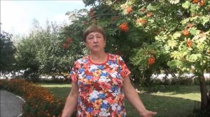 Сергиевские минеральные воды, Санаторий, СМВ