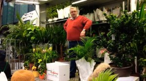 Hamburg Fish Market - Dutch Flower King - Holländischer Blumenkönig