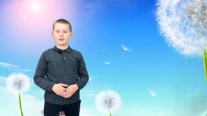 Интересные факты про одуванчики