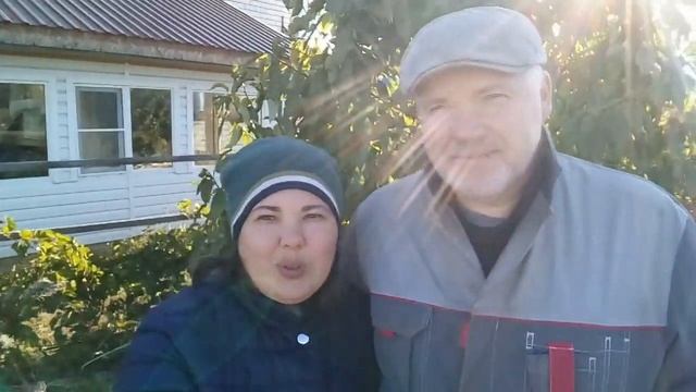 Вес кур // Выбираем самую упитанную // Описание и реальность смотреть онлайн