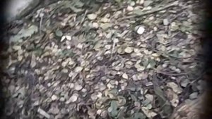 топоры труд-вача,мое мнение
