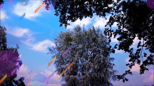 Тополя, тополя все в пуху. Песня под гитару.