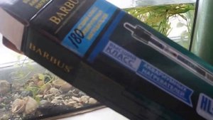 Температура в аквариуме