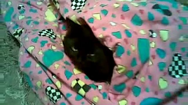 Глаша Замерзла.mp4 смотреть онлайн