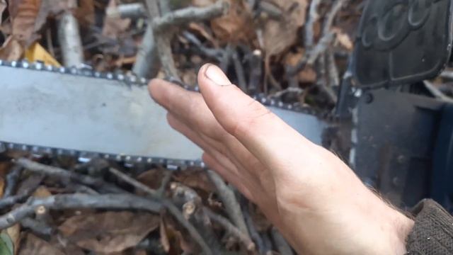 Пила КРИВО пилит. Почему электропилу/бензопилу уводит в сторону при спиле толстых веток и стволов.