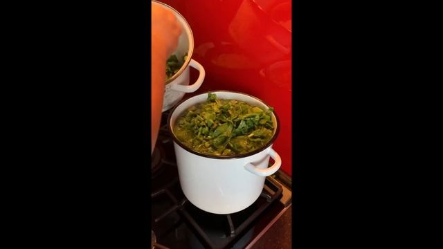 Щи из щавеля с мясом ( как готовить)