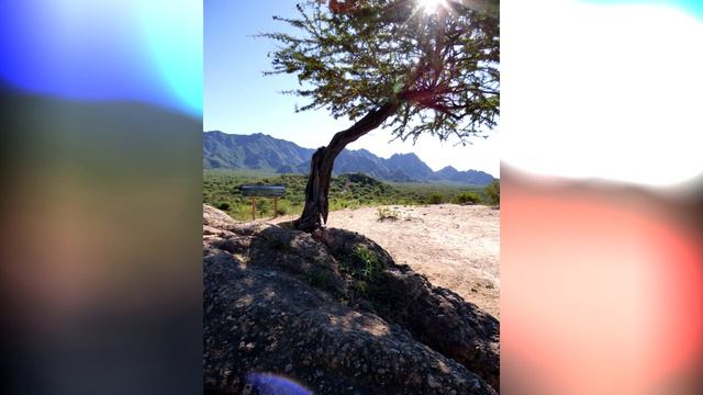 Trio para clarinete, fagot y piano de Silvina Wainszelbaum (2002) смотреть онлайн