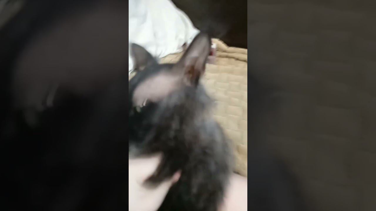 16 февраля 2023 г. смотреть онлайн