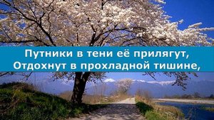 СТАРИК И ВИШНЯ Караоке под Баян