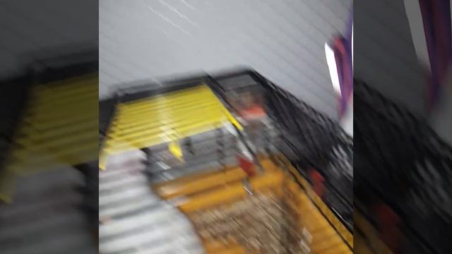 мой любимый кролик смотреть онлайн