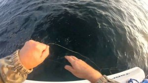 НОЧНАЯ МОРСКАЯ РЫБАЛКА НА КАЛЬМАРА И ЕРША В ЯПОНСКОМ МОРЕ с Лодки на Спиннинг.