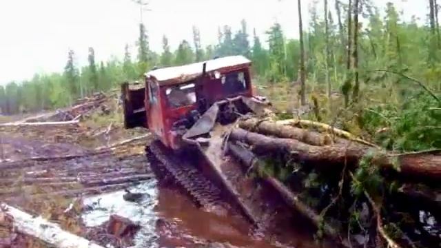 трелёвка 11год смотреть онлайн