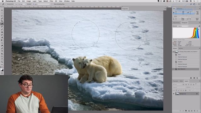 Выделение и маска. Adobe Photoshop: базовые команды и инструменты выделения. Андрей Журавлев