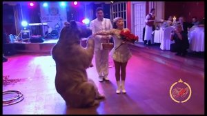 Лучший корпоратив для Вас от ЮСТУДИО Раменское