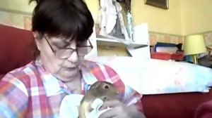 Cutting a GUINEA PIG'S Nails!