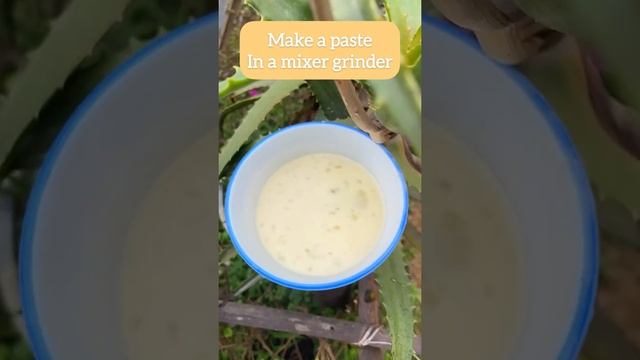 Home made Aloe Vera Hair mask |For Frizzy hair | DIY hair care routine at home |